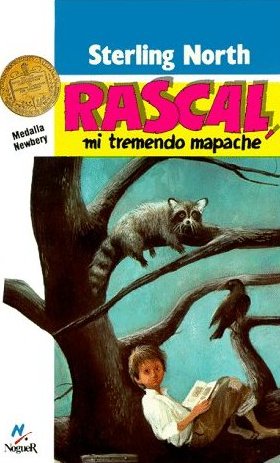 Rascal, mi tremendo mapache